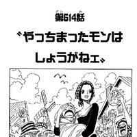 Chapter 614 One Piece Wiki Fandom