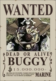 Bagy taglia
