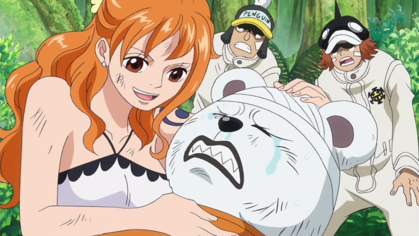 Shachi One Piece Wiki Fandom