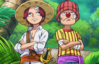 Pirate Apprentice