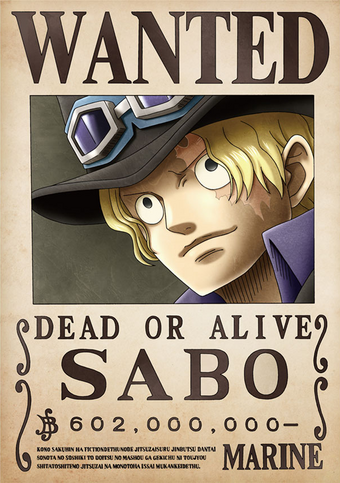 Wanted Posters One Piece Wiki Fandom