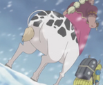 Chappe Full Body Anime