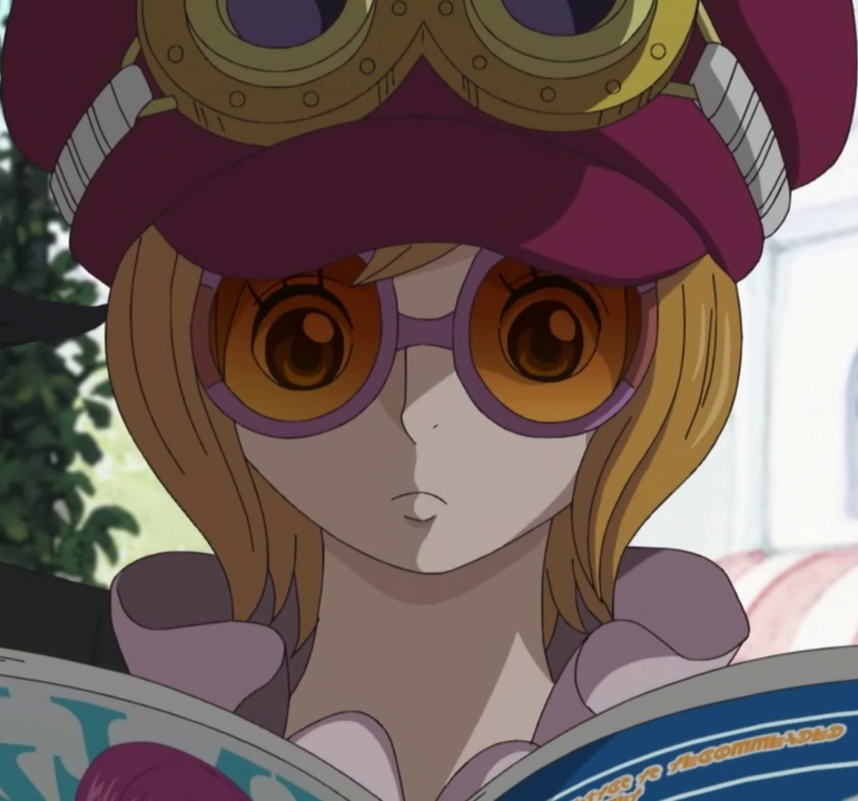 Image - Koala Wearing Sunglasses.png | One Piece Wiki ...