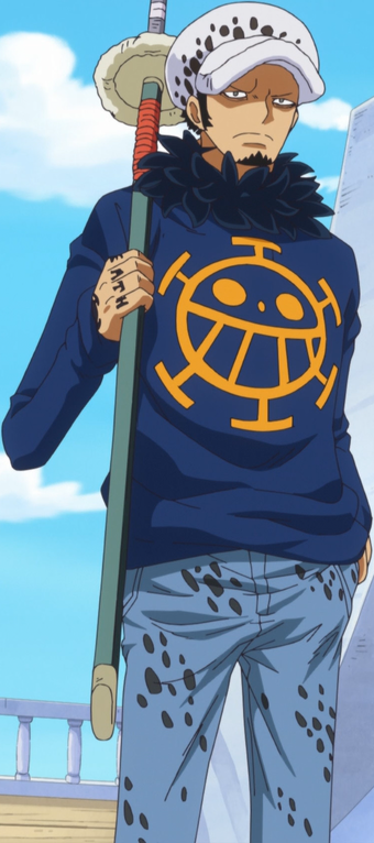 Trafalgar D Water Law Wikia One Piece Fandom