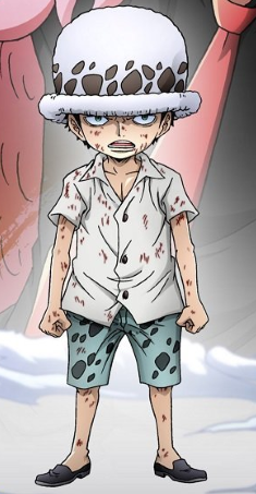 Trafalgar D Water Law One Piece Wiki Fandom