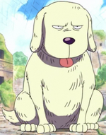 Holy Anime Infobox