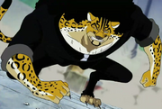 Neko Neko no Mi Model Leopard