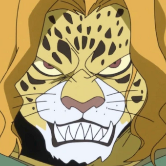 Pedro One Piece Wiki Fandom