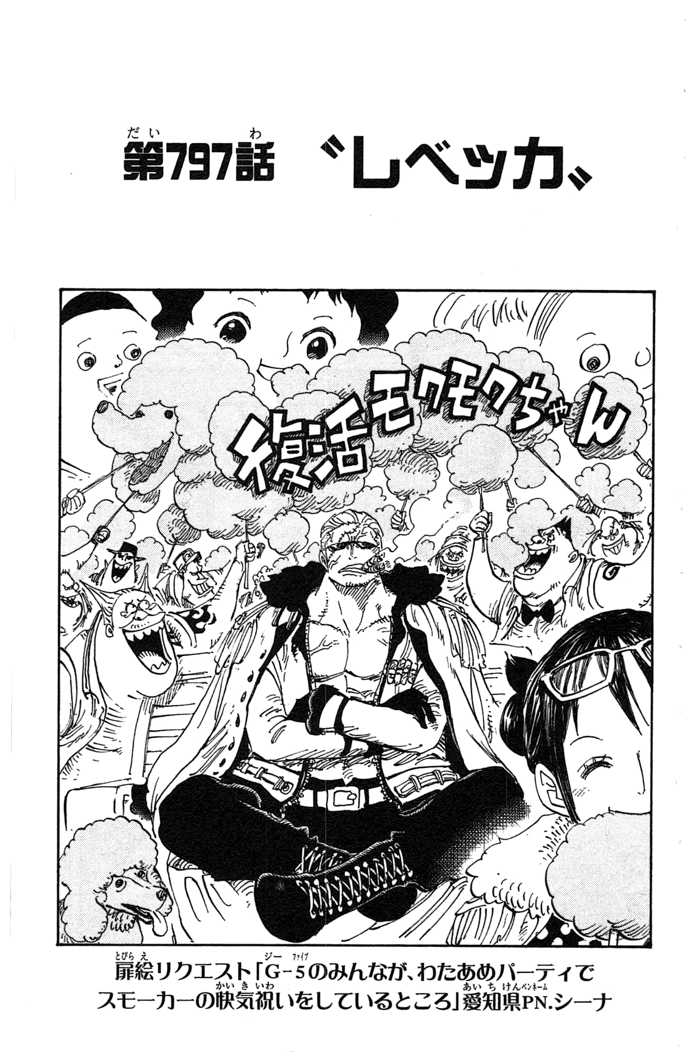 One Piece 797