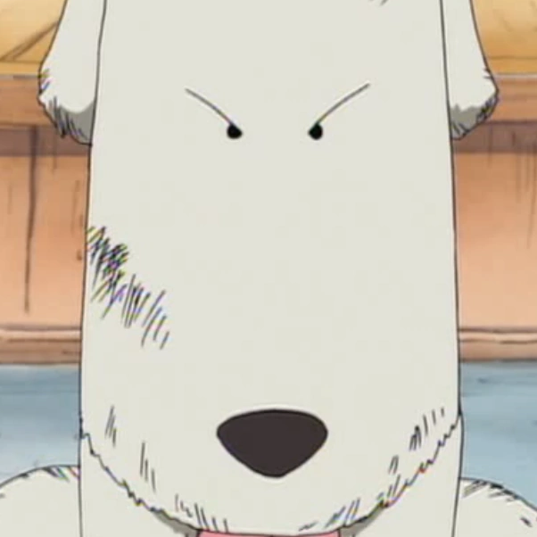 Image Chouchou Portrait png One Piece Wiki FANDOM Powered By Wikia