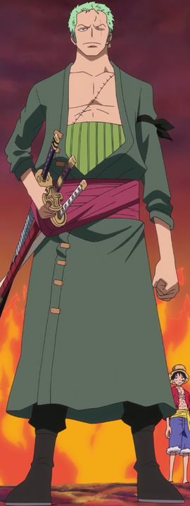 Roronoa Zoro Anime Post Timeskip Infobox