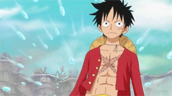 Haki de l'Observation