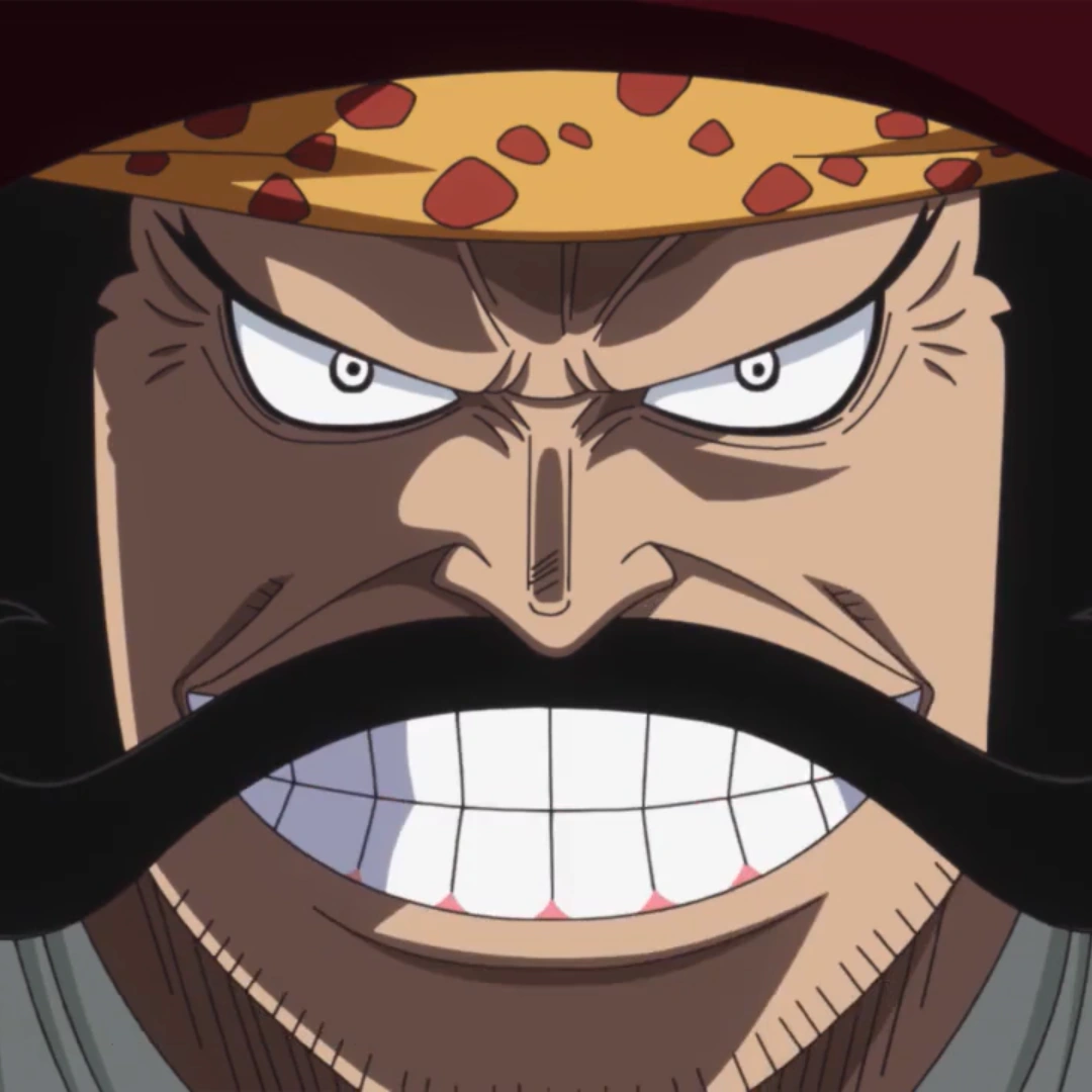CitazioniSilvers Rayleigh One Piece Wiki Italia FANDOM powered by