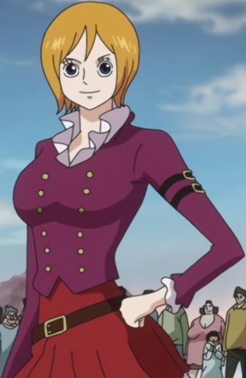 Koala One Piece Encyclopedie Fandom