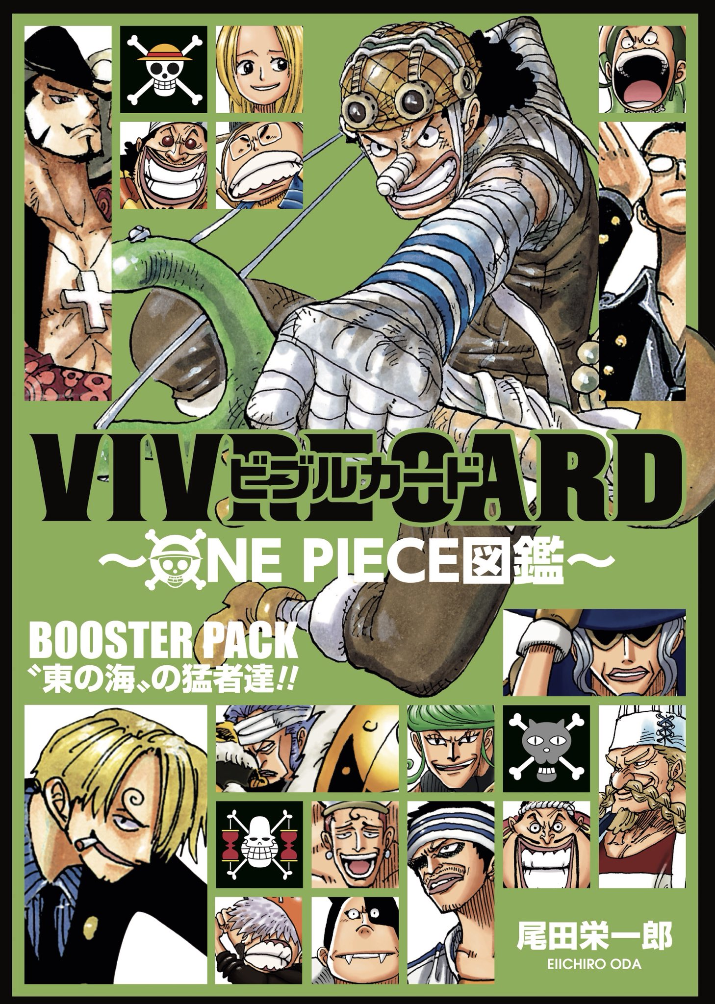 One Piece One Piece Vivre Card Databook Wiki