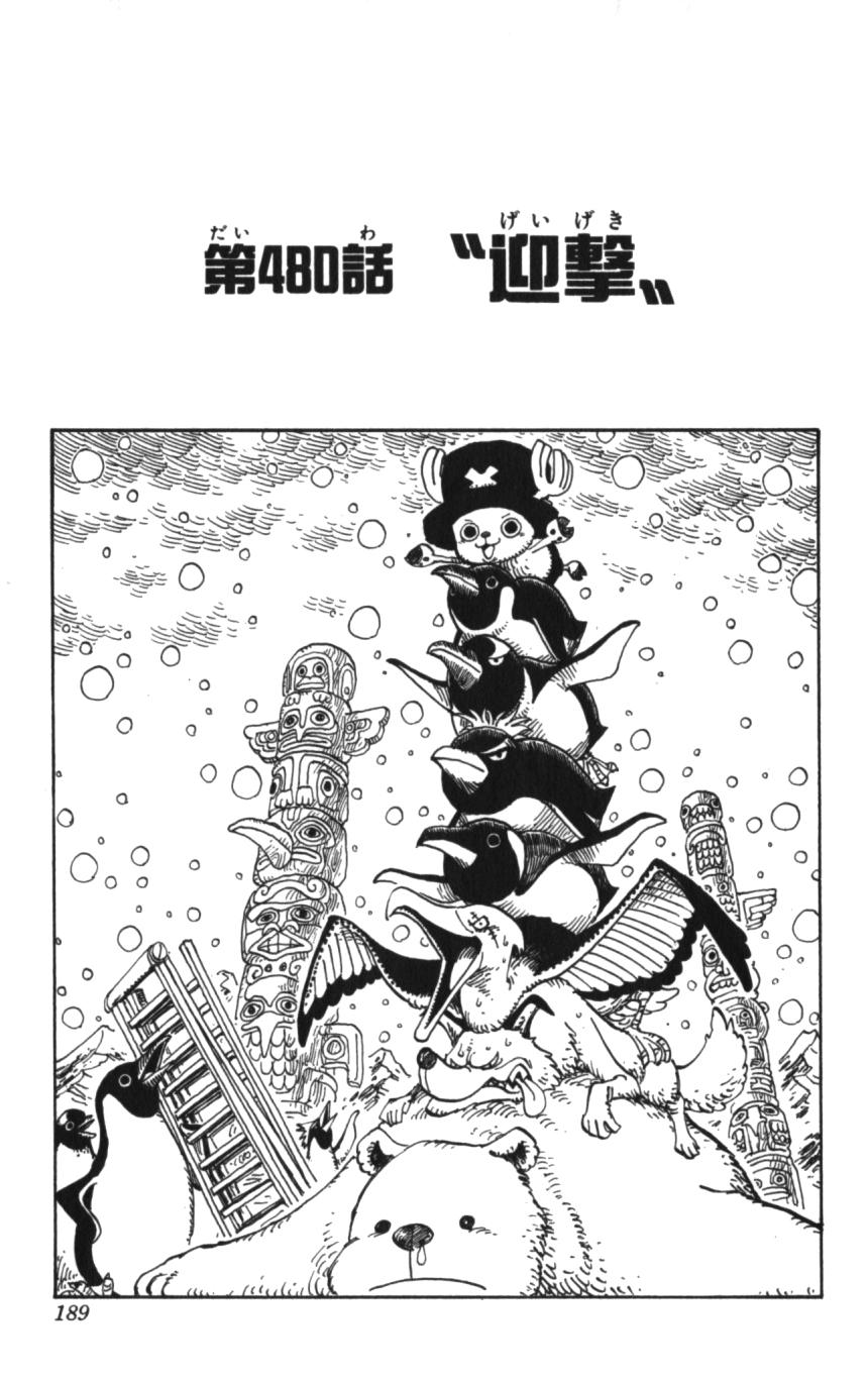 Chapter 480 One Piece Wiki Fandom