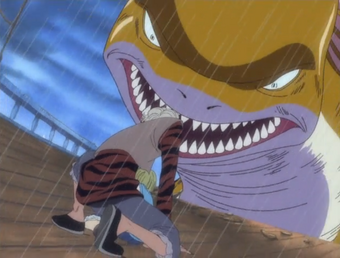 Rapanui Pasqua One Piece Wiki Fandom