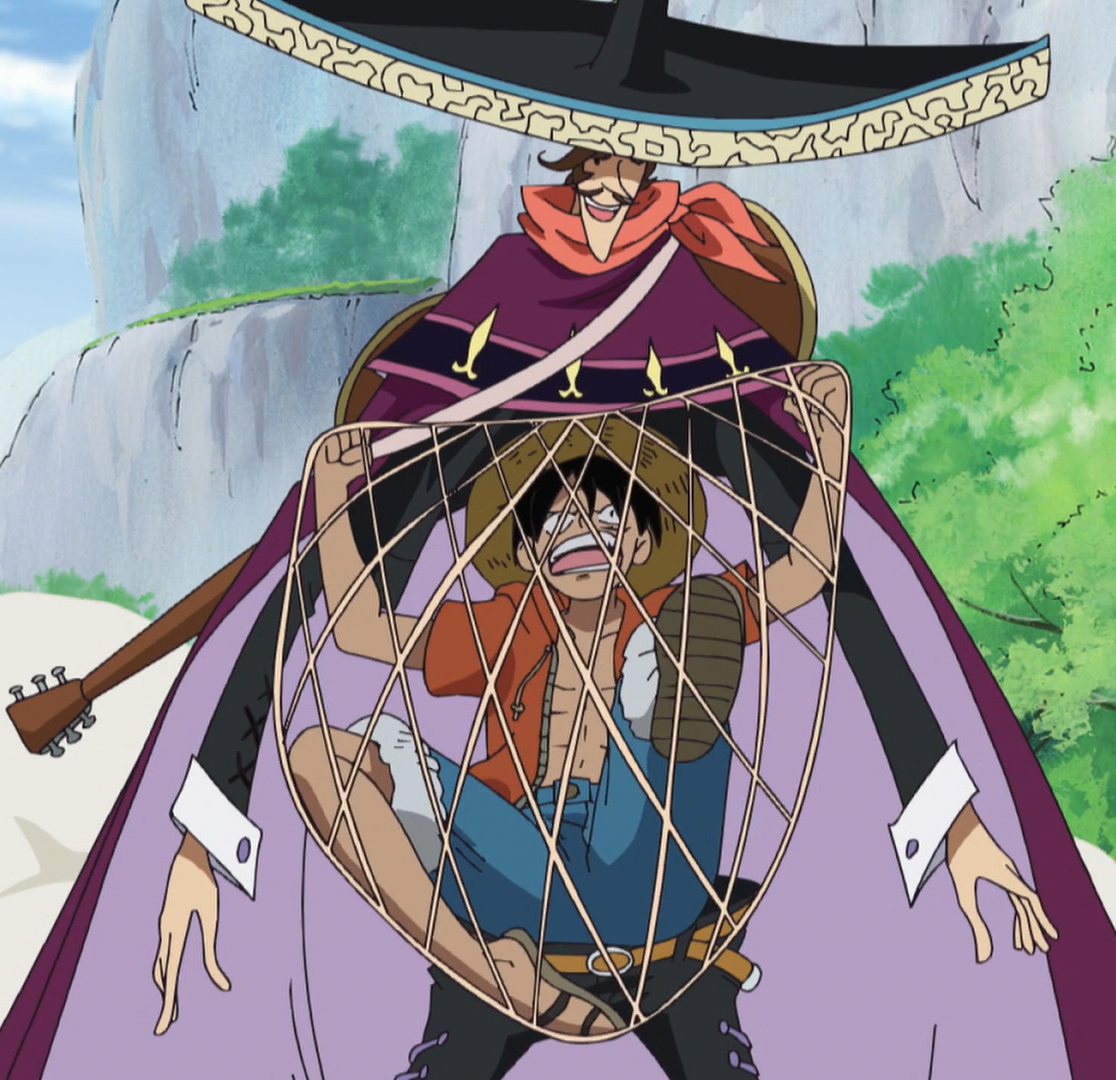 Ami Ami no Mi | One Piece Wiki | Fandom