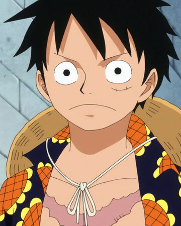 Monkey D Luffy Onepiecepedia Fandom
