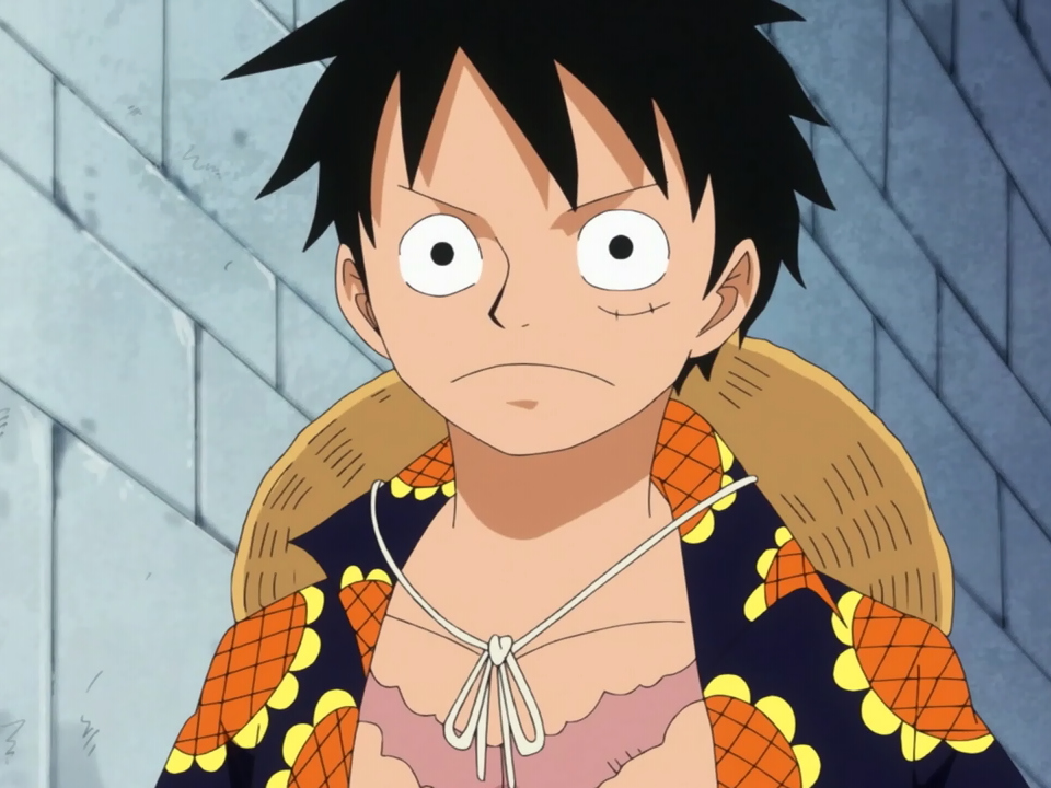 Monkey D. Luffy OnePiecePedia FANDOM powered by Wikia