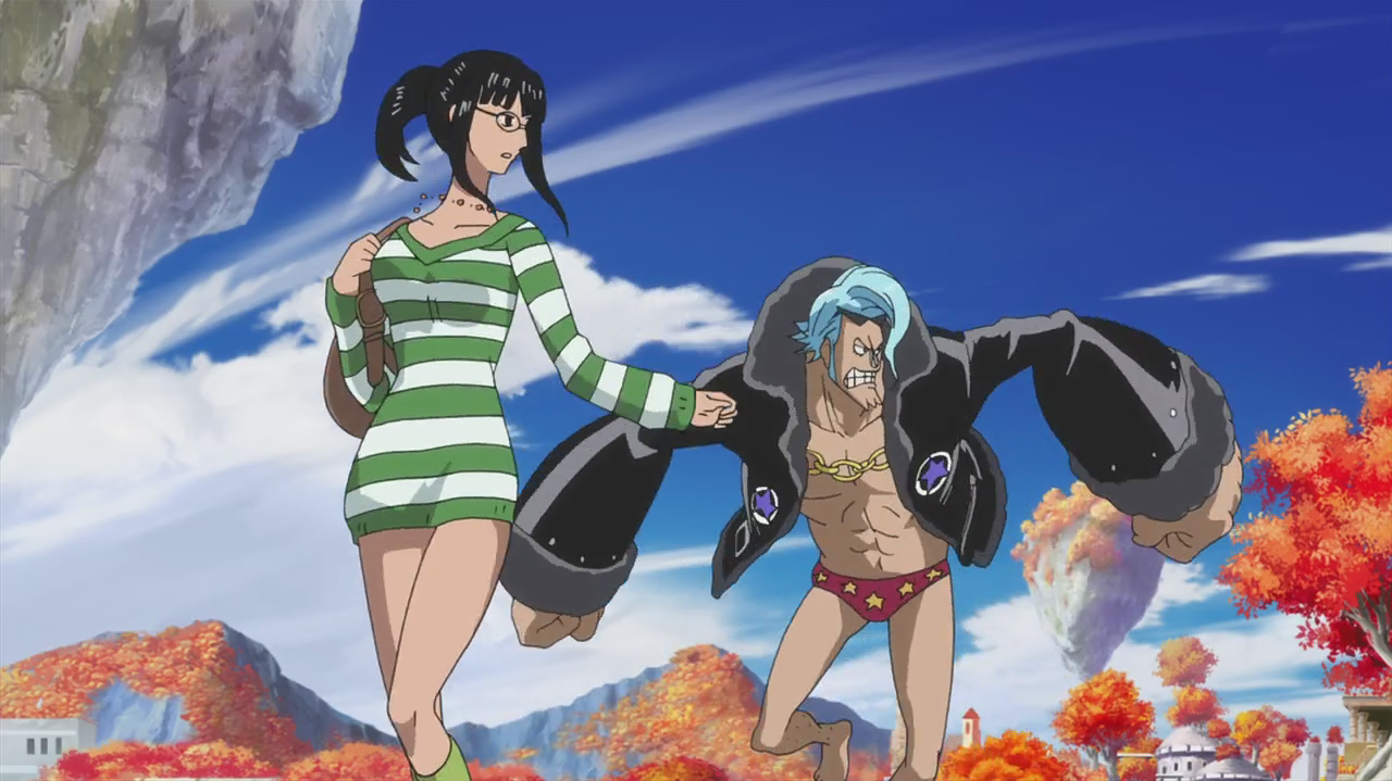 one piece franky and robin