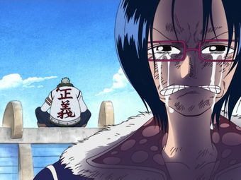 Tashigi One Piece Wiki Fandom