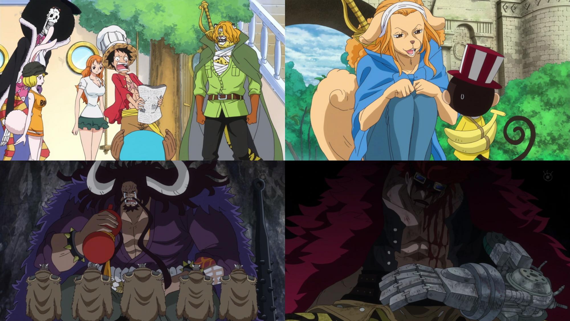 Episodio 779 One Piece Wiki Fandom