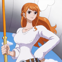 Nami One Piece Wiki Fandom