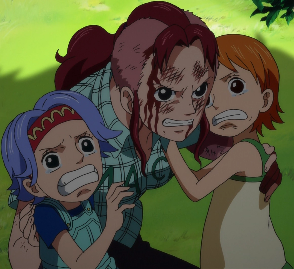 Nami/History One Piece Wiki FANDOM powered by Wikia
