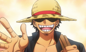 Straw Hat One Piece Wiki Fandom