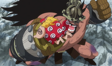 Hajrudin vs. Machvise