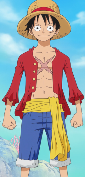 Monkey D. Luffy Anime Post Timeskip Infobox