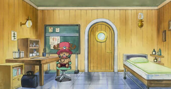 Thousand Sunny Onepiecepedia Fandom