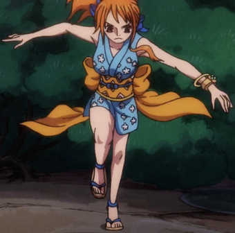 Nami Gallery One Piece Wiki Fandom
