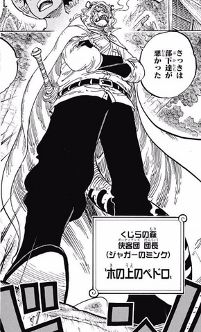 File:Pedro Manga Infobox.png