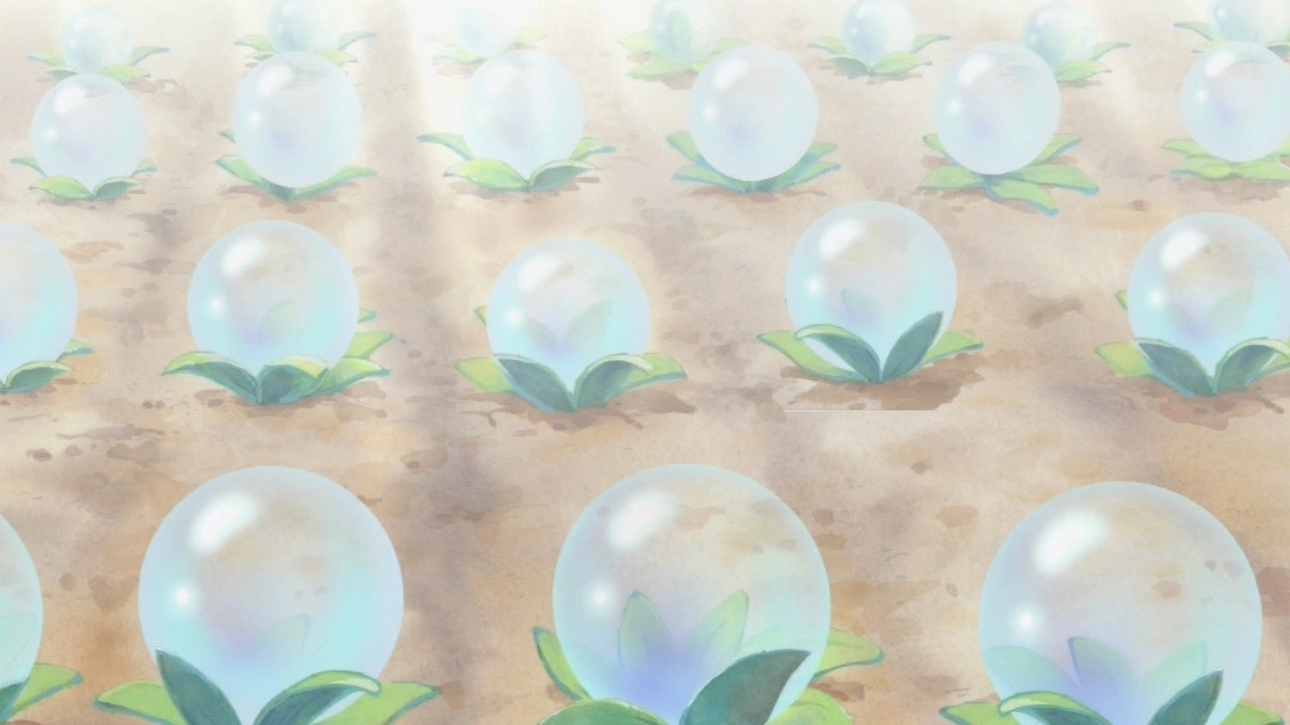 Weather Ball One Piece Encyclopédie FANDOM powered by Wikia