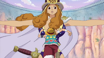 Aphelandra One Piece Wiki Fandom