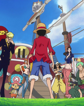 We Go One Piece Wiki Fandom