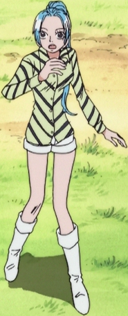 Nefertari Vivi One Piece Wiki Fandom