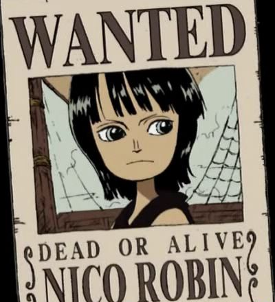 Primer Wanted de Robin
