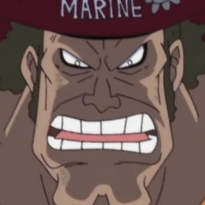 Vicealmirante One Piece Wiki FANDOM powered by Wikia