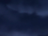 CategoryOrganizations  One Piece Wiki  Fandom