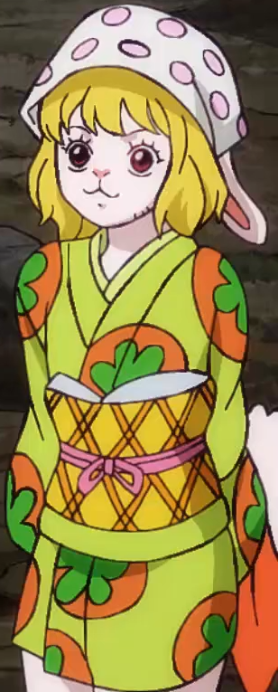 Carrot One Piece Wiki Fandom
