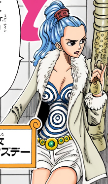 Nefertari Vivi One Piece Wiki Fandom