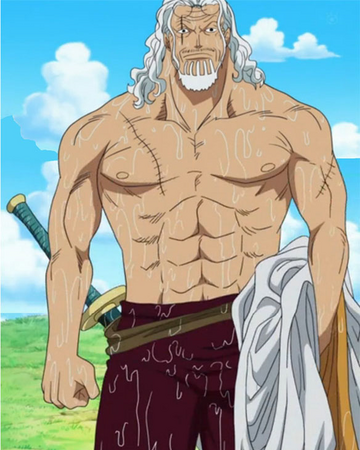Silvers Rayleigh One Piece Wiki Italia Fandom