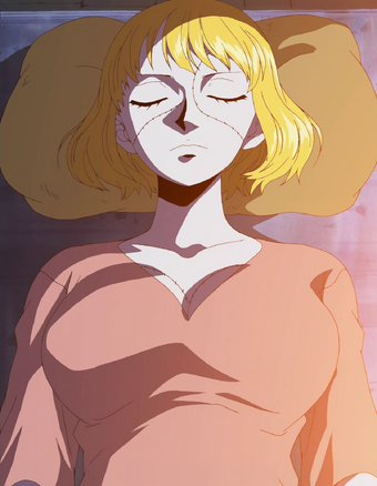 Victoria Cindry One Piece Wiki Fandom