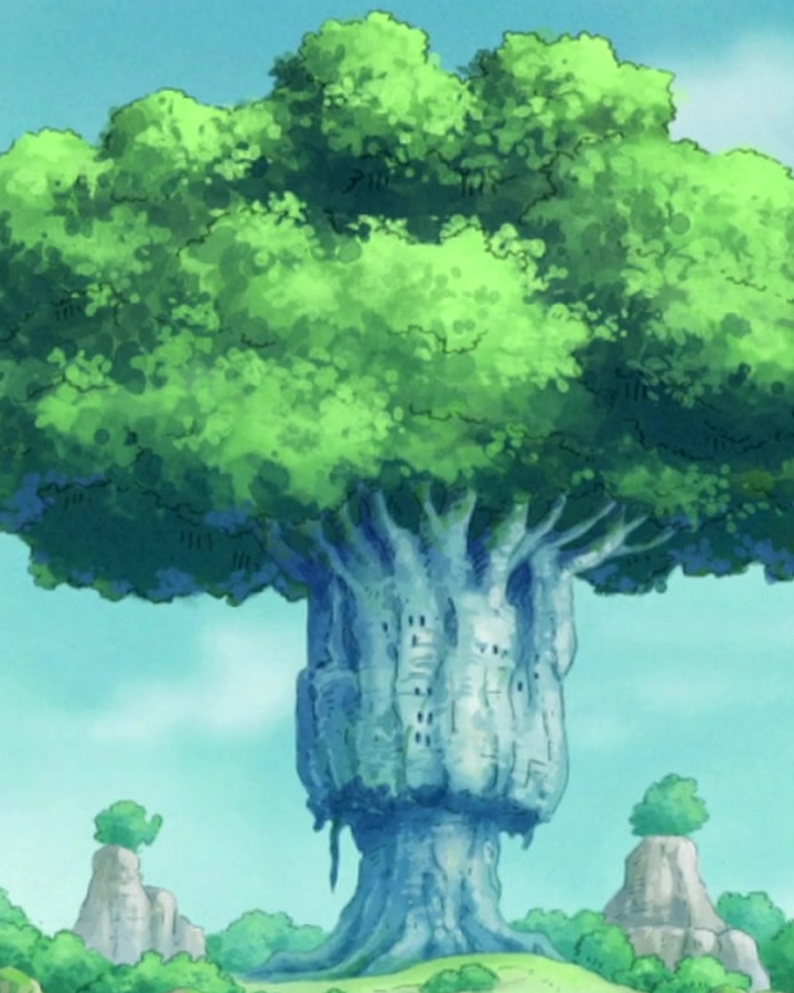 Tree Of Knowledge One Piece Wiki Fandom