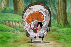 Ace salva Dadan