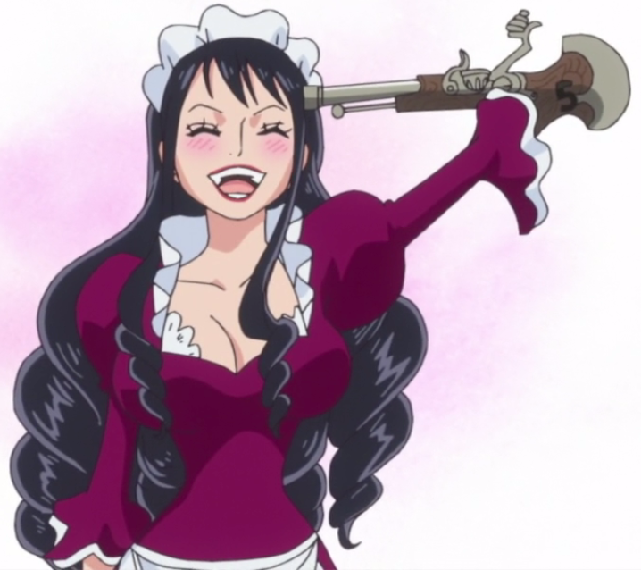 Baby 5 One Piece Encyclopedie Fandom