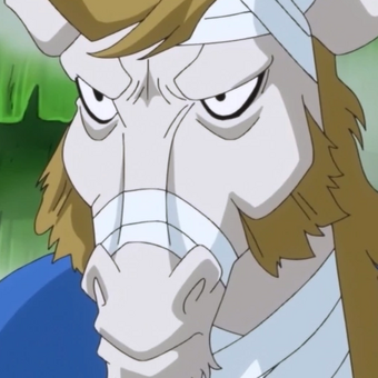 Mink Tribe One Piece Wiki Fandom